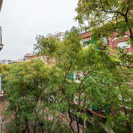 Navas 2 Appartamento